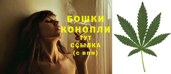прущий лед Белоозёрский