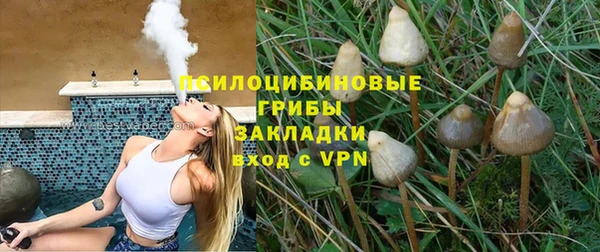 тгк Беломорск