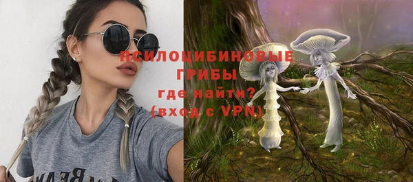 ALPHA PVP Белокуриха