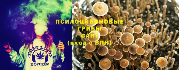 прущий лед Белоозёрский