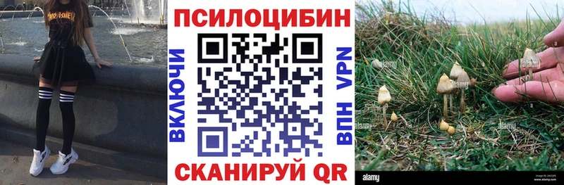 Псилоцибиновые грибы Cubensis  где можно купить   Красноперекопск 